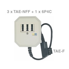 Adapter TAE-F-Stecker / 3xTAE-NFF-Buchse / 6P4C